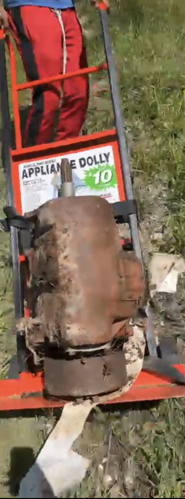 Appliance removal job